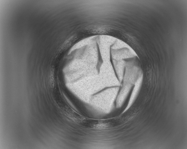 X0000054430312200508192130