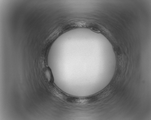 X0000054430313200508192130