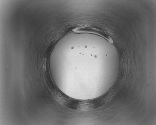 X0000054430315200508192130