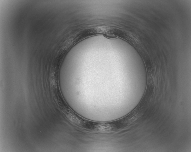 X0000054430317200508192130