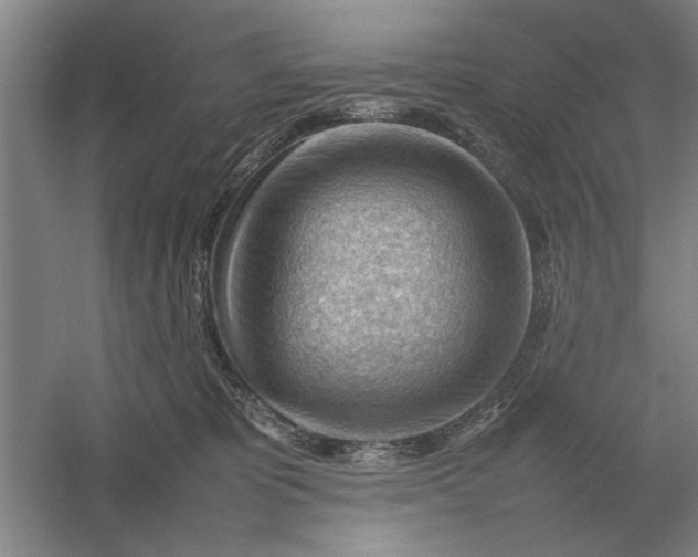 X0000054430325200508192130