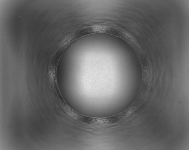 X0000054430329200508192130