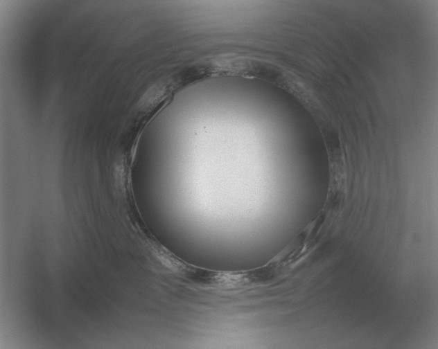 X0000054430333200508192130