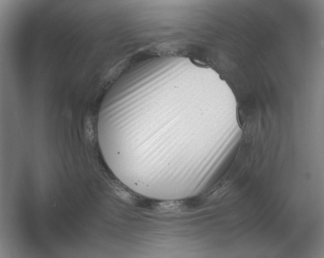 X0000054430335200508192130