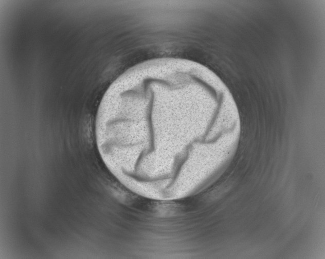 X0000054430336200508192130