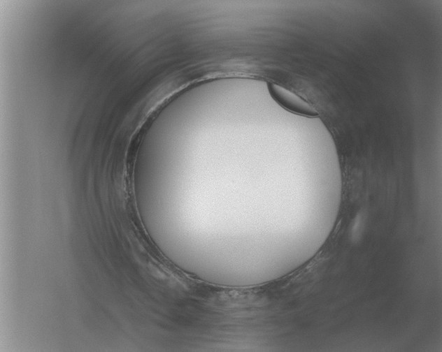 X0000054430338200508192129