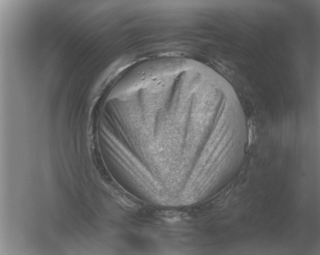 X0000054430339200508192129