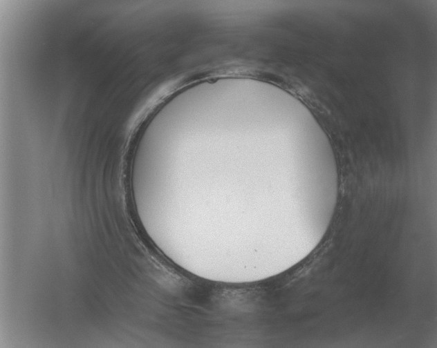 X0000054430341200508192129