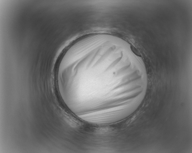 X0000054430342200508192129