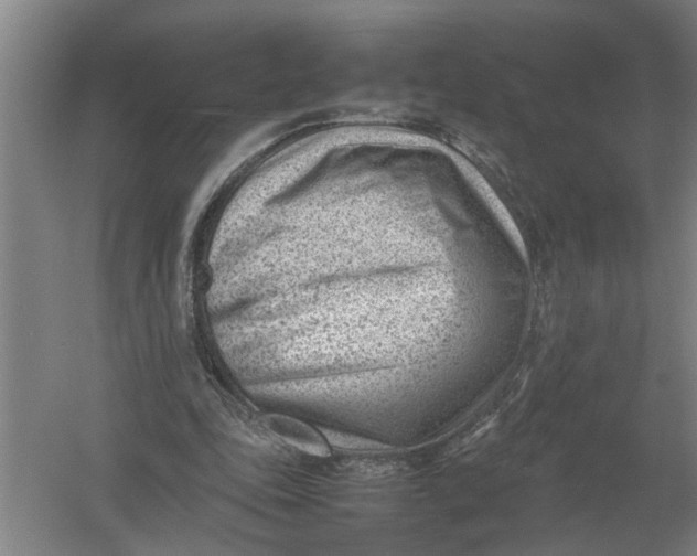 X0000054430343200508192129