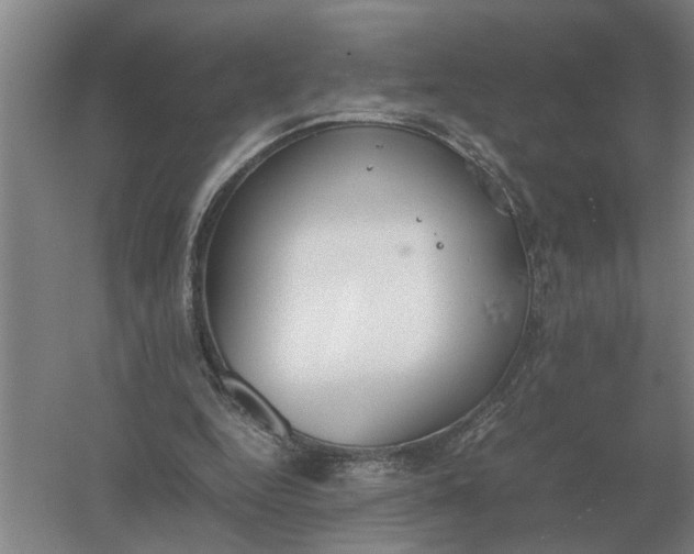 X0000054430344200508192129