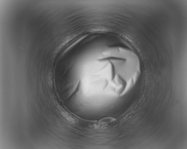 X0000054430345200508192129