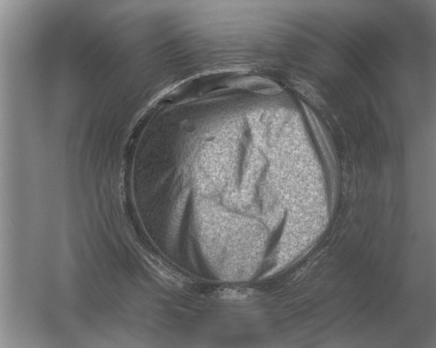 X0000054430346200508192129