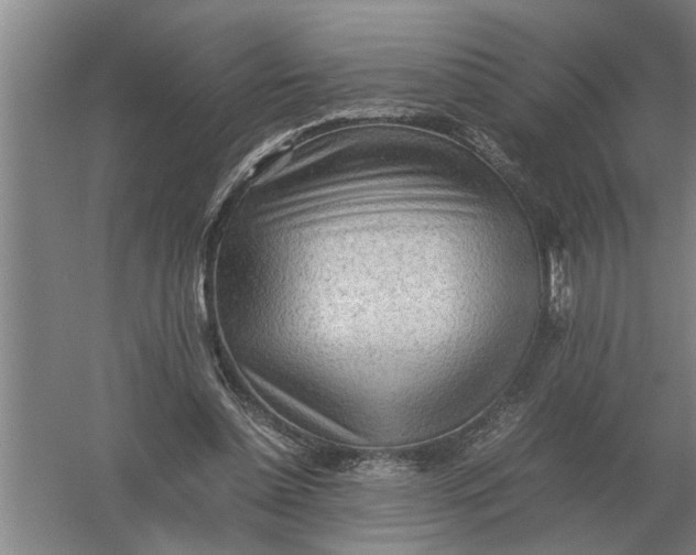 X0000054430348200508192129