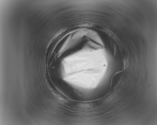 X0000054430349200508192129