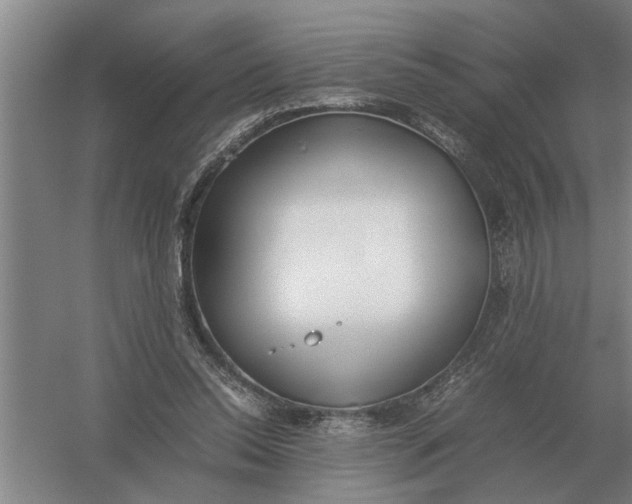 X0000054430350200508192129