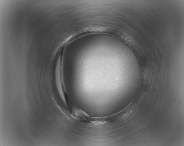 X0000054430352200508192129