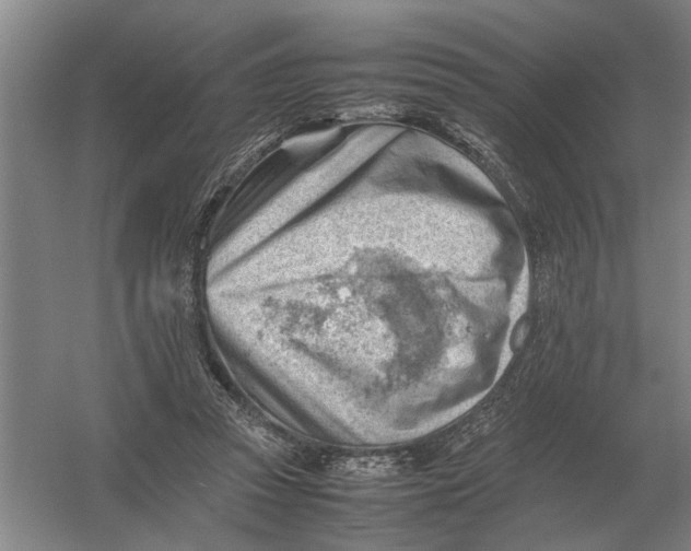 X0000054430353200508192129