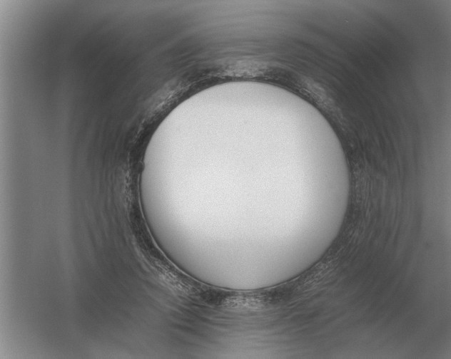 X0000054430354200508192129