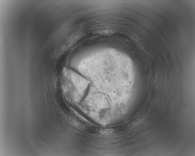 X0000054430355200508192129