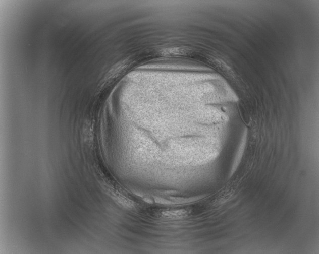 X0000054430357200508192129