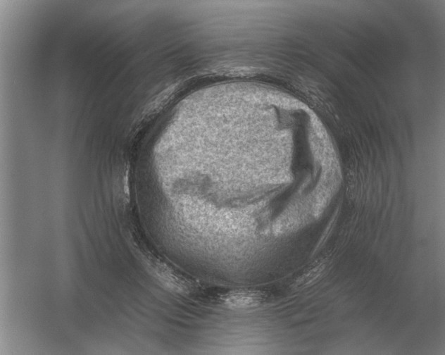 X0000054430358200508192130