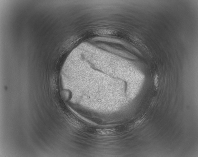 X0000054430359200508192130