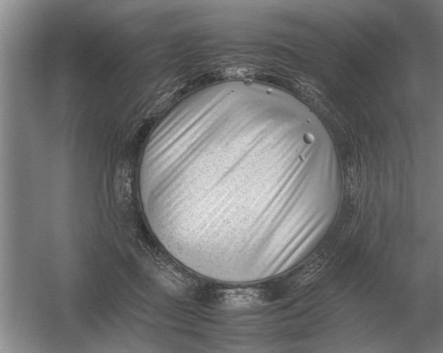 X0000054430363200508192130