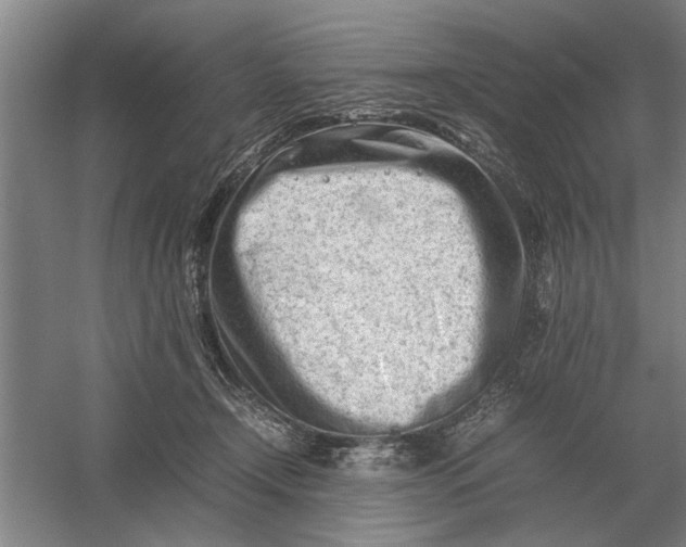 X0000054430366200508192130