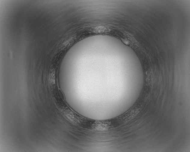 X0000054430368200508192130