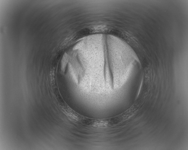 X0000054430369200508192130