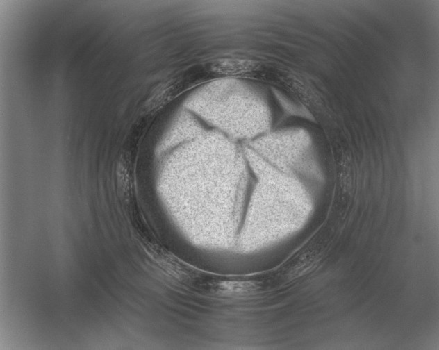 X0000054430371200508192130