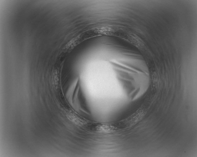 X0000054430372200508192130