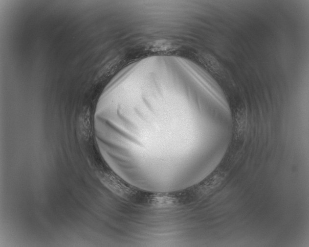 X0000054430376200508192130