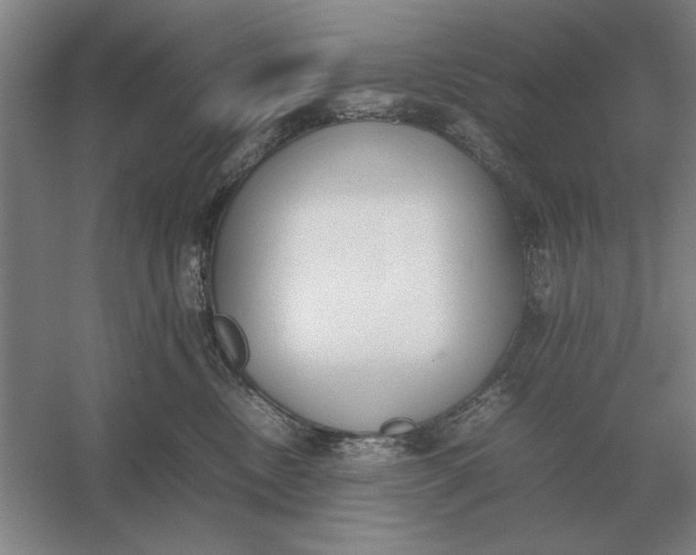 X0000054430378200508192130