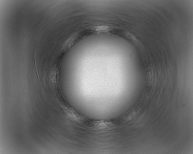 X0000054430379200508192130