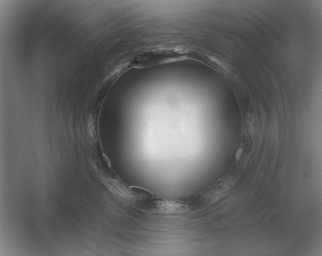 X0000054430380200508192130