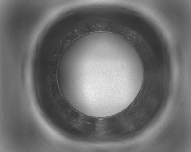 X0000054430382200508192130