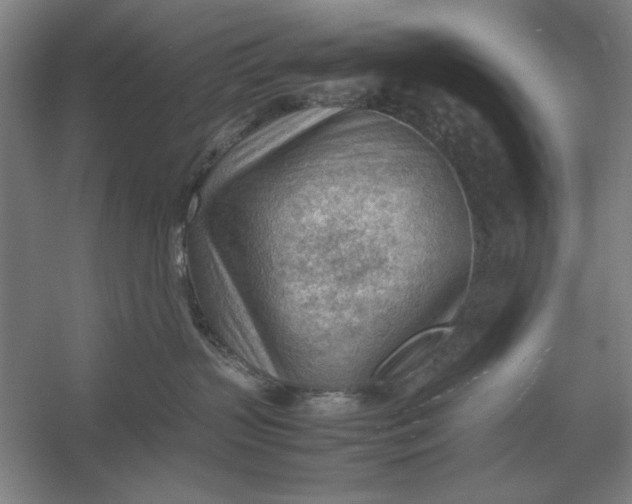 X0000054430383200508192130