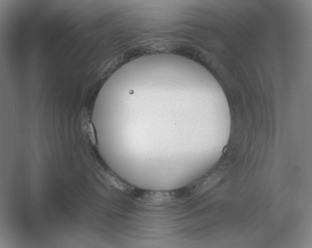 X0000054430384200508192130