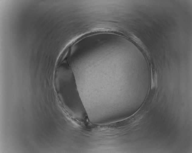 X0000054430387200508192129