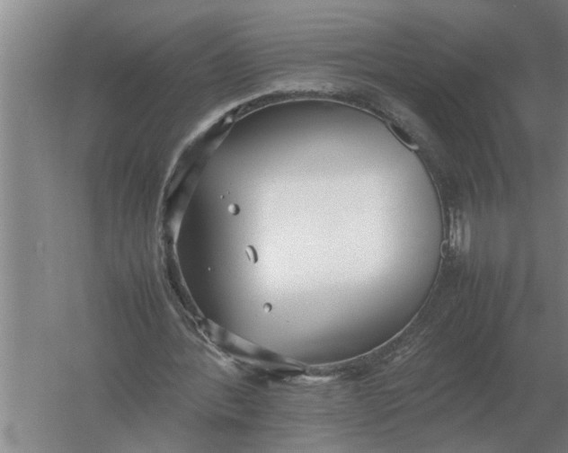 X0000054430388200508192129