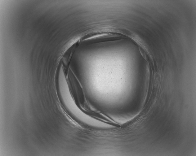 X0000054430389200508192129