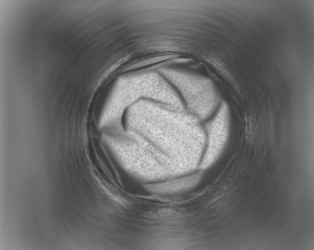 X0000054430390200508192129