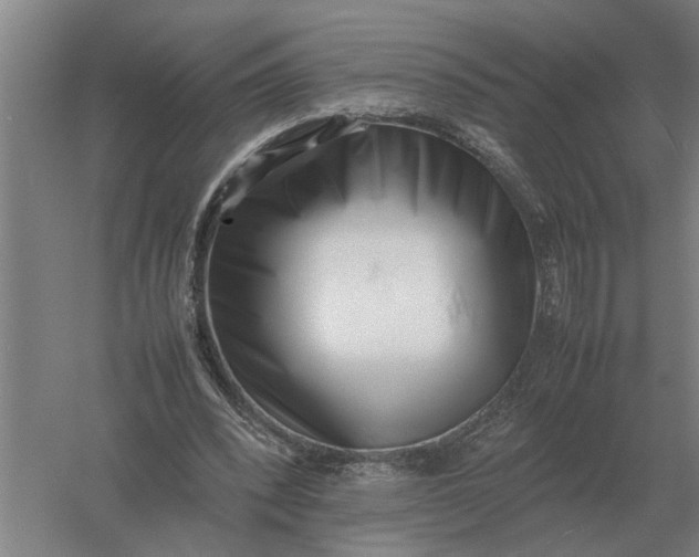 X0000054430392200508192129