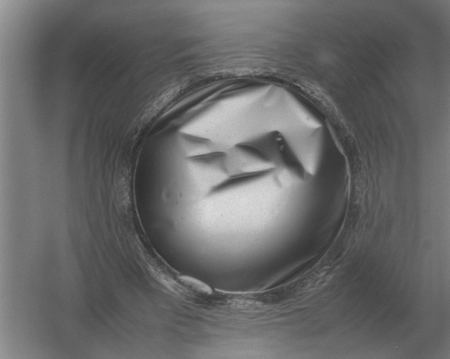 X0000054430393200508192129