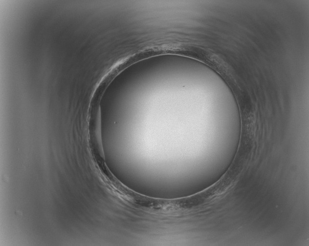 X0000054430395200508192129