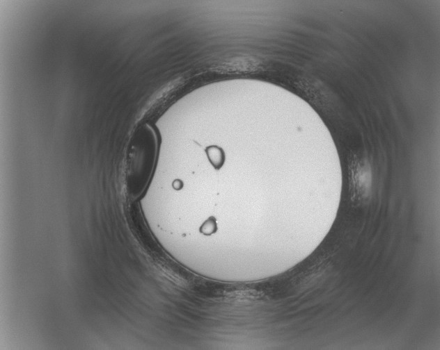 X0000054430396200508192129