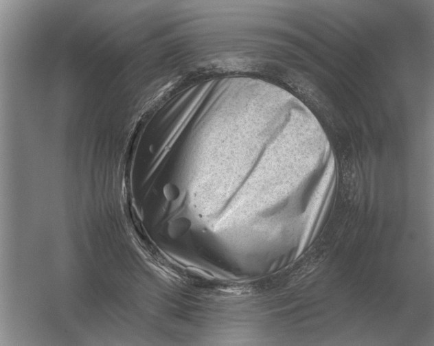 X0000054430398200508192129