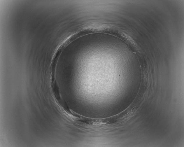 X0000054430399200508192129